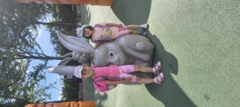 IMG_20260619_100357891_HDR