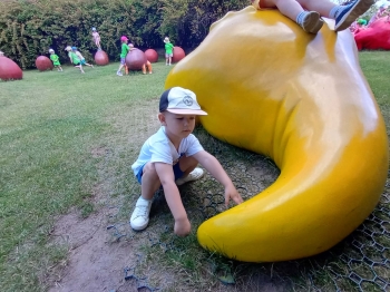 received_1542915584044733.jpeg