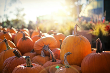 DZIEŃ DYNI W ODDZIALE PRZEDSZKOLNYM