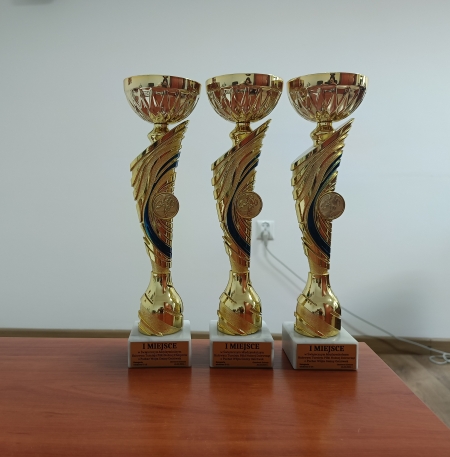 Zawody międzyszkolne o Puchar Wójta Gminy Ostrówek