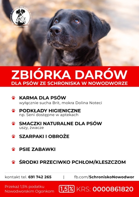 Zbiórka darów dla psów ze schroniska w Nowodworze
